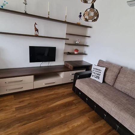 Apartament Mirubias Apartment บราชอฟ ภายนอก รูปภาพ
